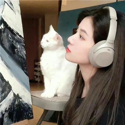 文豪野犬第一季 在线观看